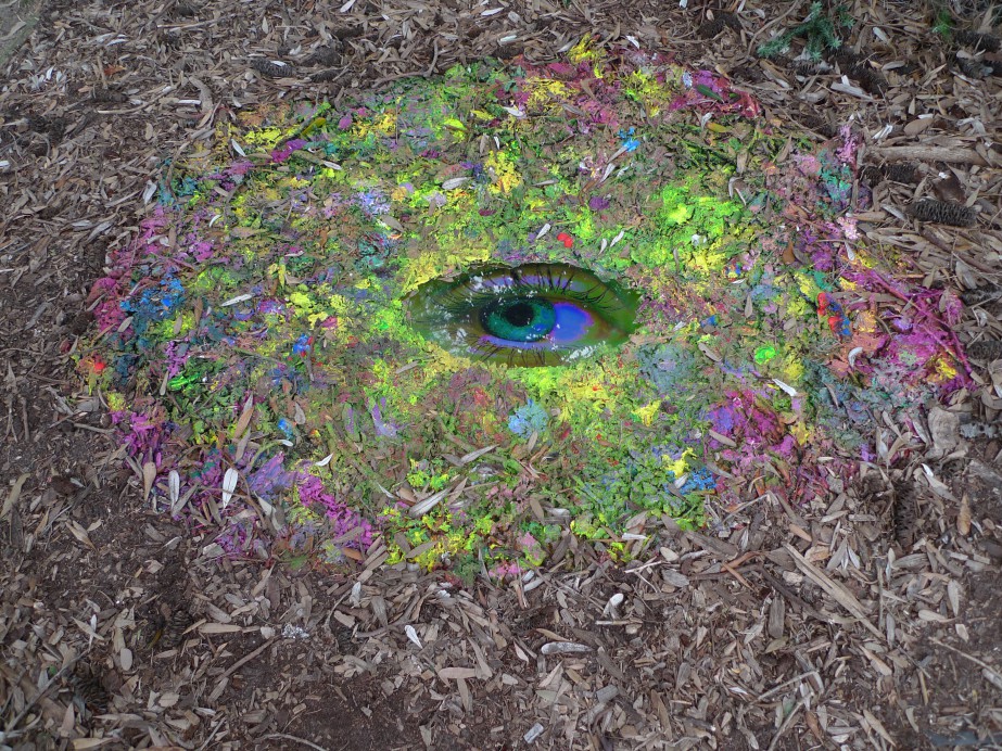 EYE