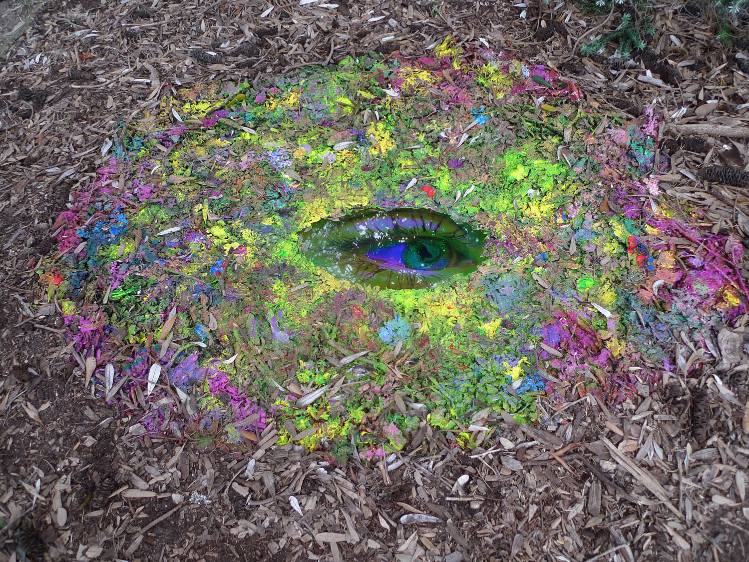 EYE