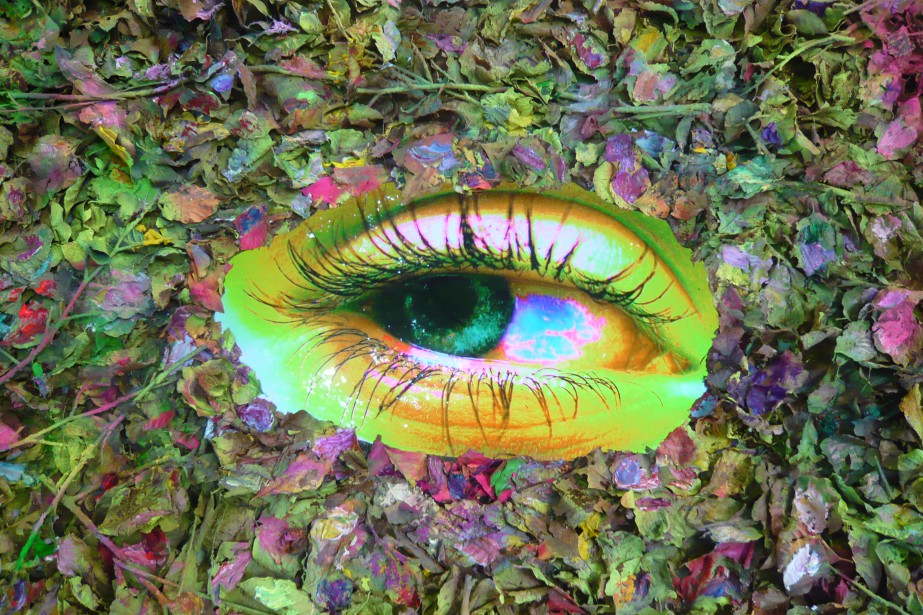 EYE